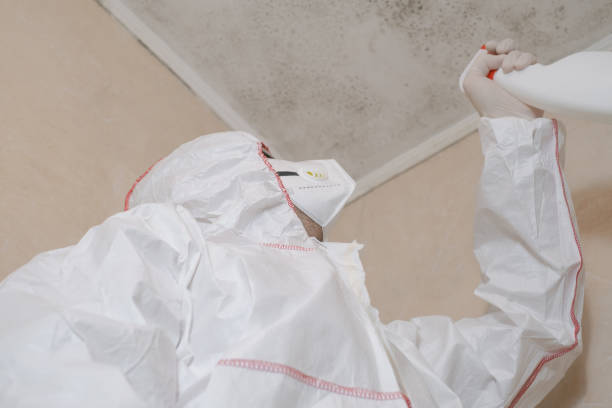 Crawl Space Mold Removal in Shenandoah, TX